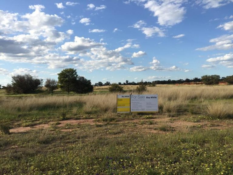 7 Driscoll Road, Narrandera NSW 2700 - photo 3