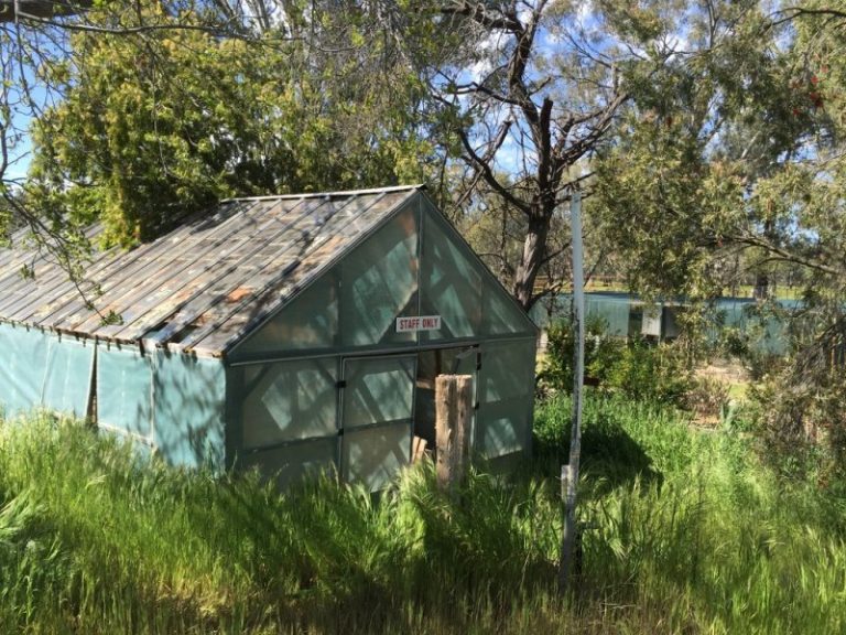 14-16 Hankinson Street, Narrandera NSW 2700 - photo 2