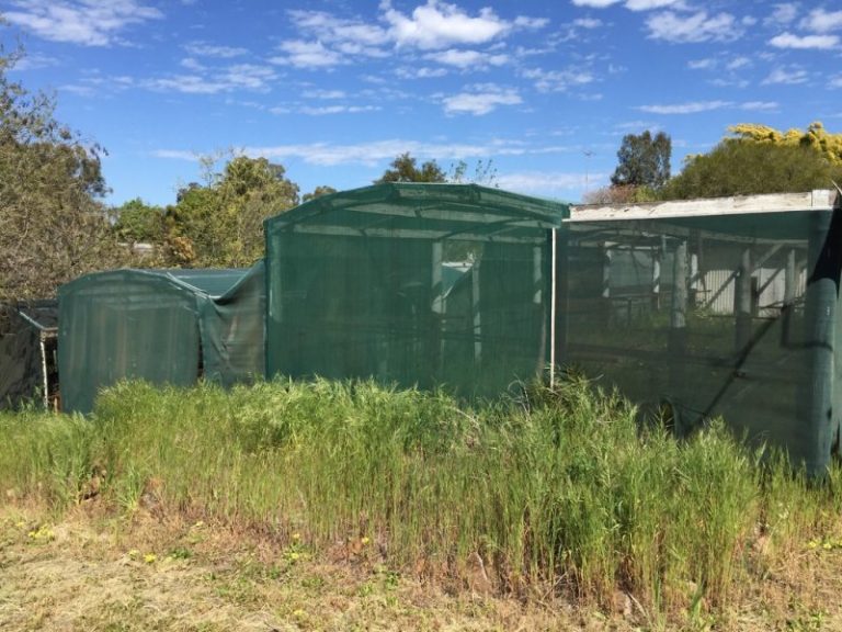 14-16 Hankinson Street, Narrandera NSW 2700 - photo 3