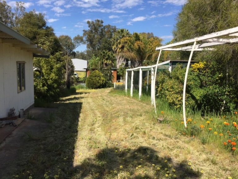 14-16 Hankinson Street, Narrandera NSW 2700 - photo 4