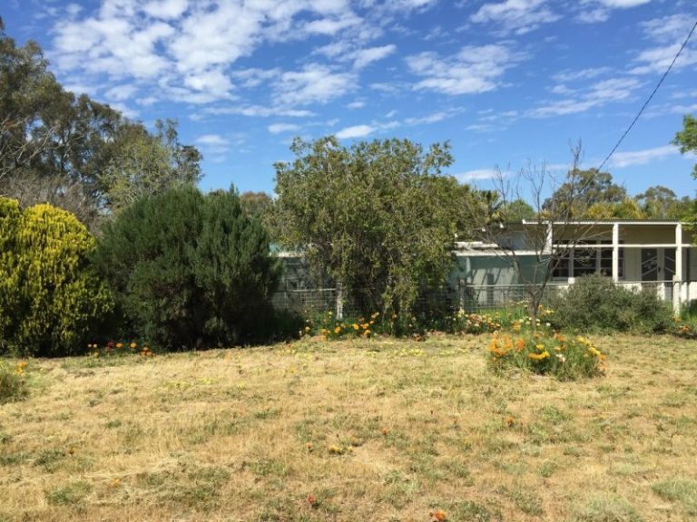 14-16 Hankinson Street, Narrandera NSW 2700 - photo 5
