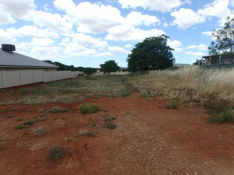 9 Joffre Street, Temora NSW 2666 - photo 2