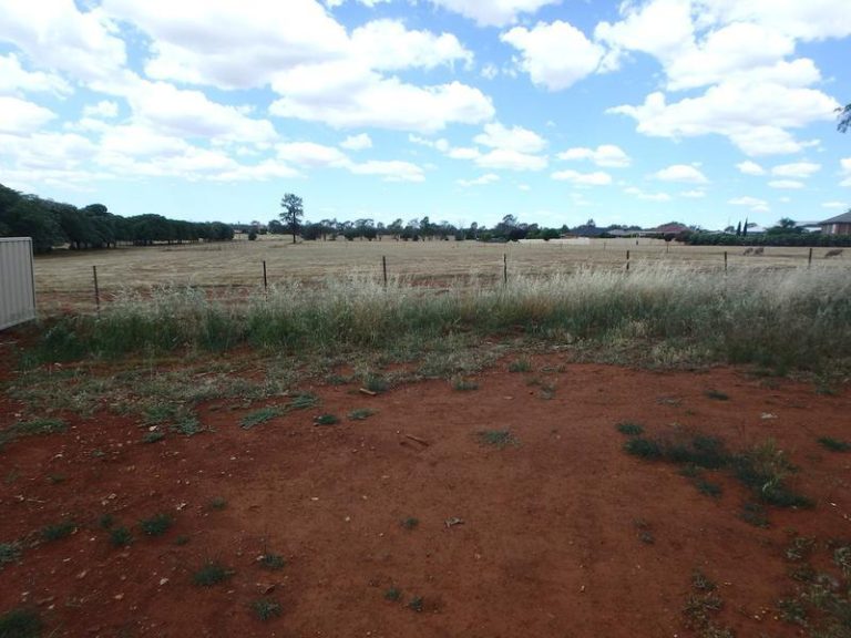 9 Joffre Street, Temora NSW 2666 - photo 4