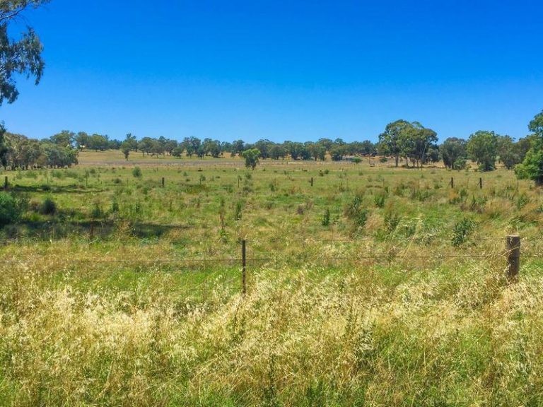 Lot 4 & 5 Irrigation Way, Narrandera NSW 2700 - photo 2