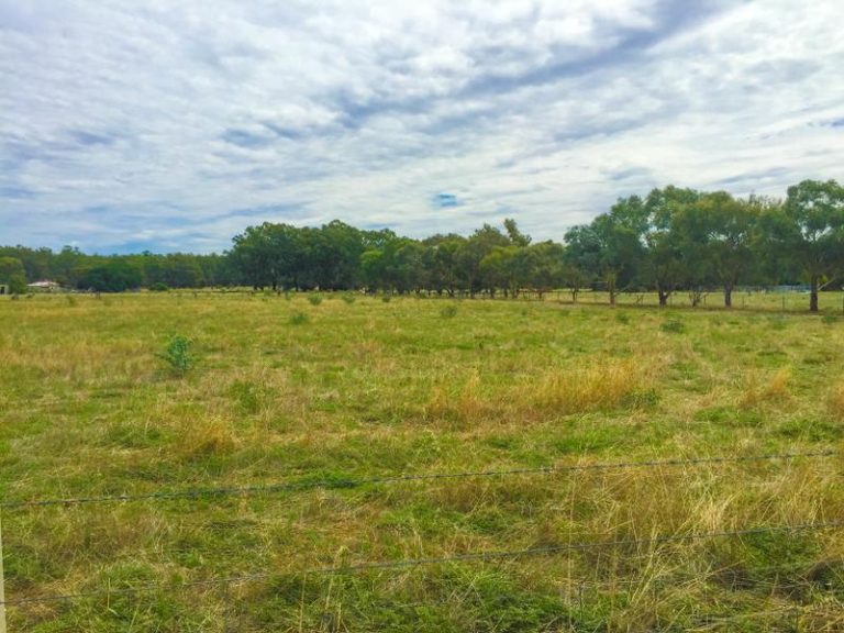 226 Irrigation Way, Narrandera NSW 2700 - photo 2