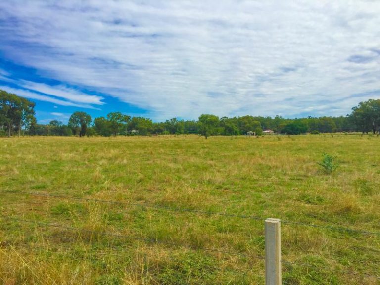 226 Irrigation Way, Narrandera NSW 2700 - McGrath Riverina