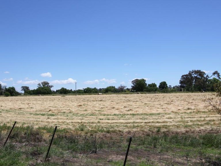 17 Scott Street, Boorowa NSW 2586 - photo 2