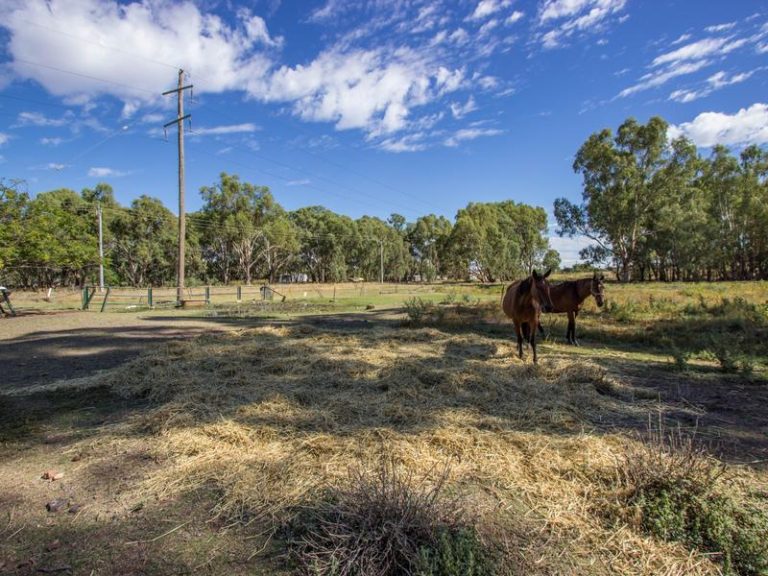 25 Sudgen Street, Narrandera NSW 2700 - photo 2