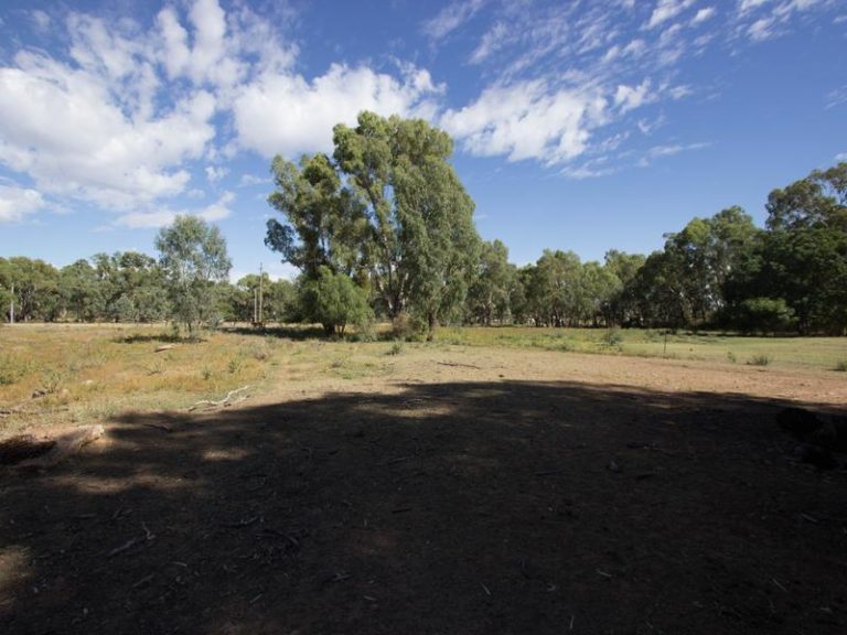 25 Sudgen Street, Narrandera NSW 2700 - photo 6