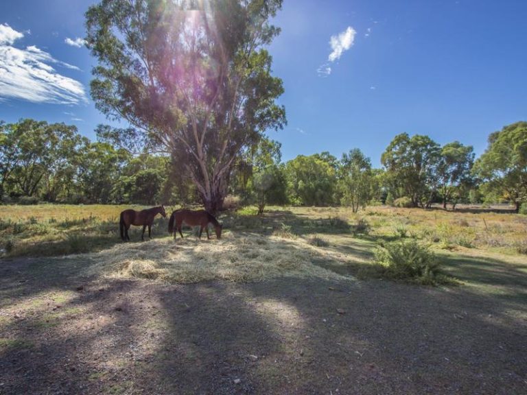 25 Sudgen Street, Narrandera NSW 2700 - McGrath Riverina