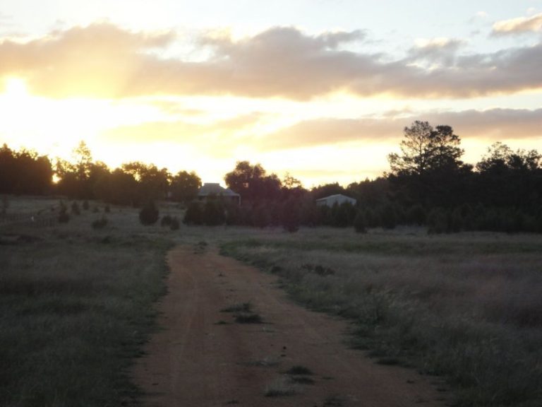 Chellington rd Trungley Hall*, Temora NSW 2666 - photo 2