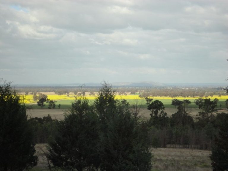 Chellington rd Trungley Hall*, Temora NSW 2666 - photo 11