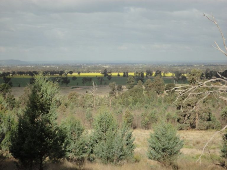 Chellington rd Trungley Hall*, Temora NSW 2666 - photo 14