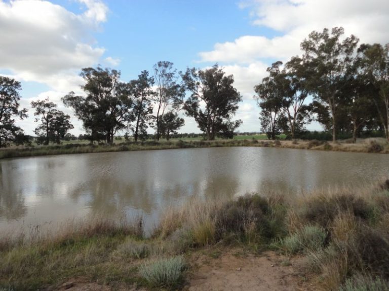 Chellington rd Trungley Hall*, Temora NSW 2666 - photo 16