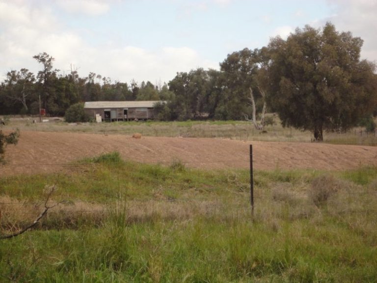 Chellington rd Trungley Hall*, Temora NSW 2666 - photo 17