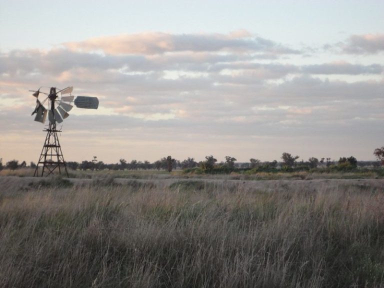 Chellington rd Trungley Hall*, Temora NSW 2666 - photo 25