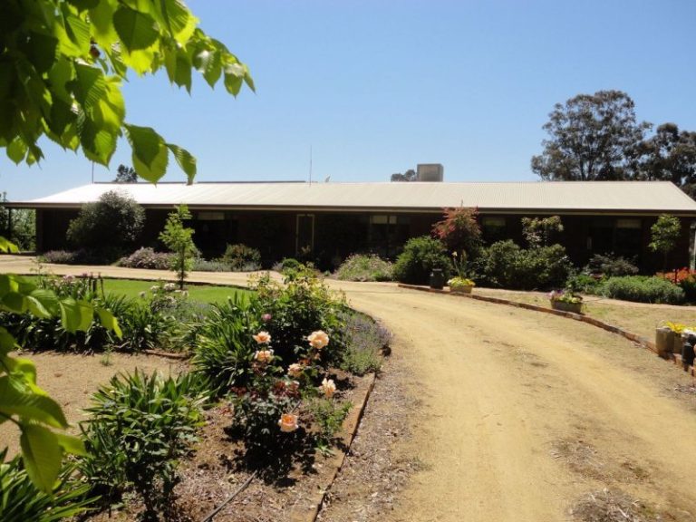 247 Research Station Road*, Temora NSW 2666 - photo 2