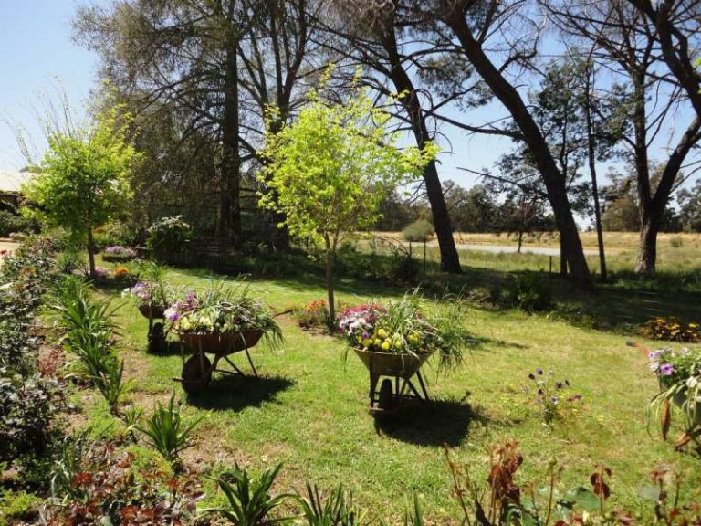 247 Research Station Road*, Temora NSW 2666 - photo 17