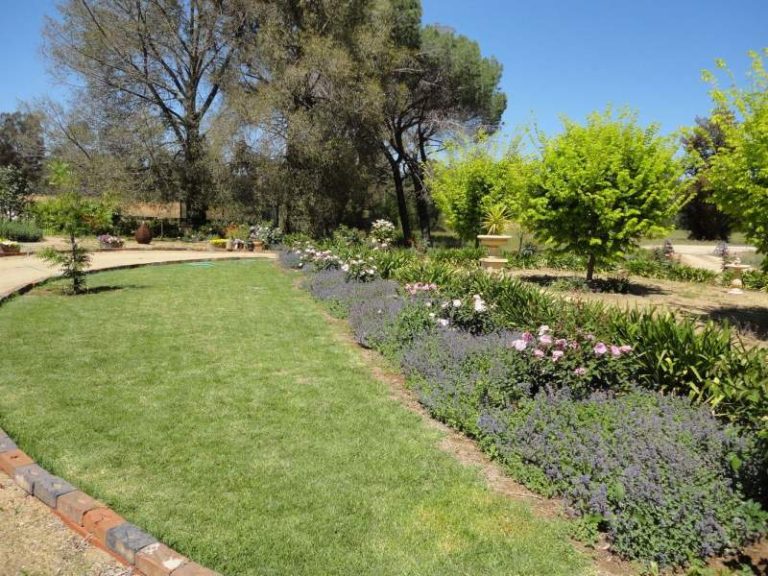247 Research Station Road*, Temora NSW 2666 - photo 18