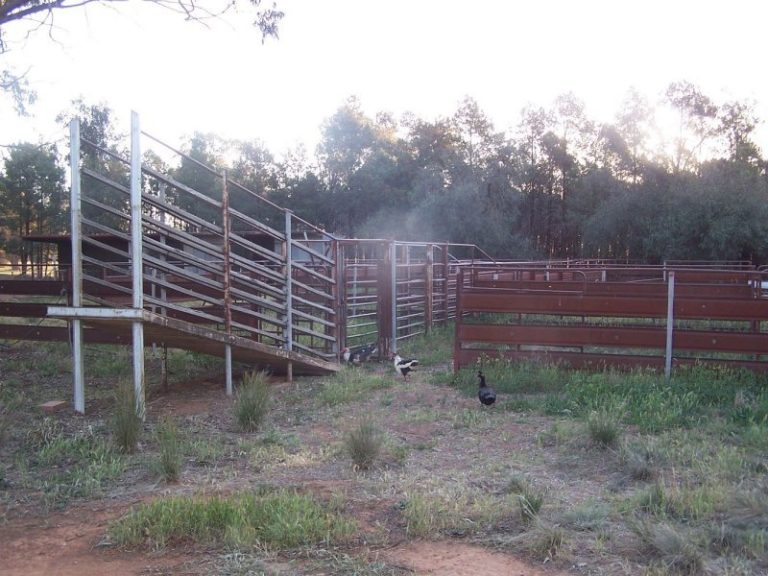 247 Research Station Road*, Temora NSW 2666 - photo 25