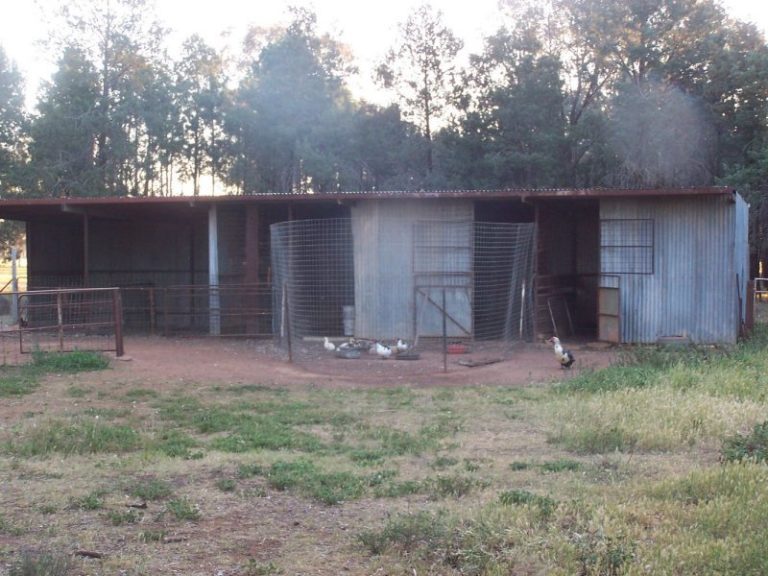247 Research Station Road*, Temora NSW 2666 - photo 26
