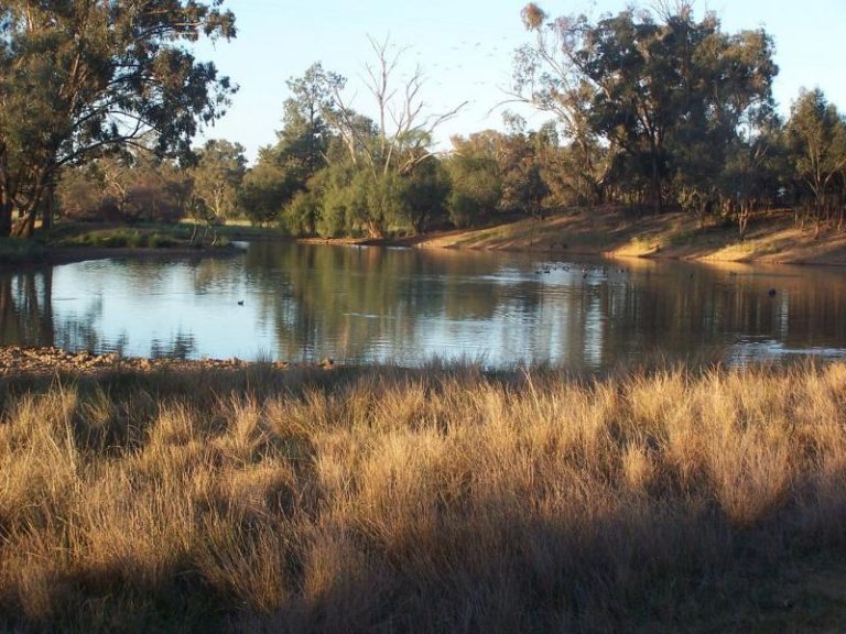 247 Research Station Road*, Temora NSW 2666 - photo 5