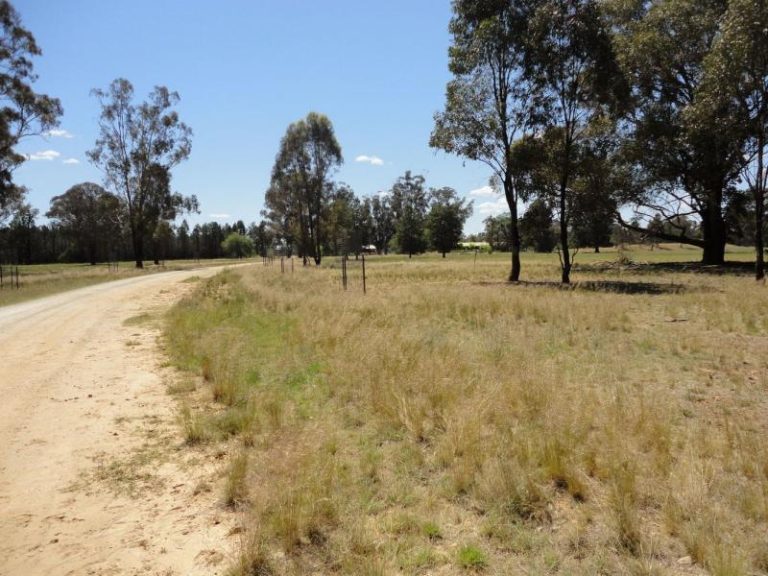 247 Research Station Road*, Temora NSW 2666 - photo 6