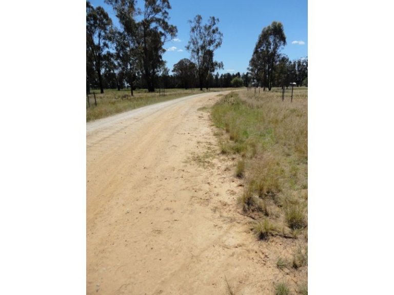 247 Research Station Road*, Temora NSW 2666 - photo 7