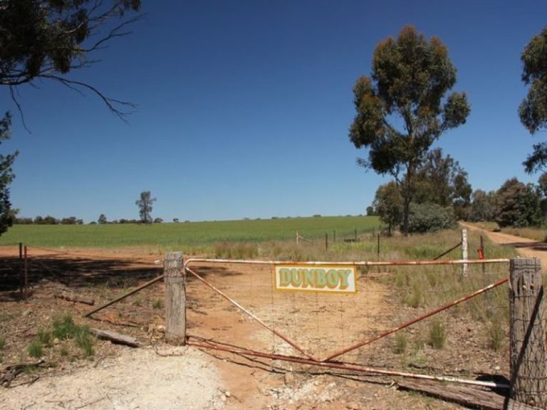 250 Taylors Lane, Temora NSW 2666 - photo 23