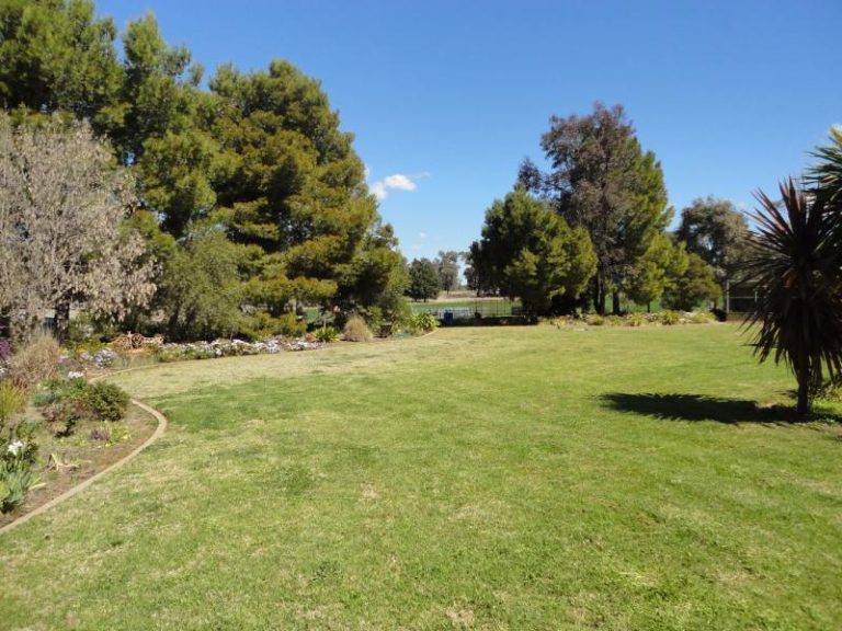 250 Taylors Lane, Temora NSW 2666 - photo 25