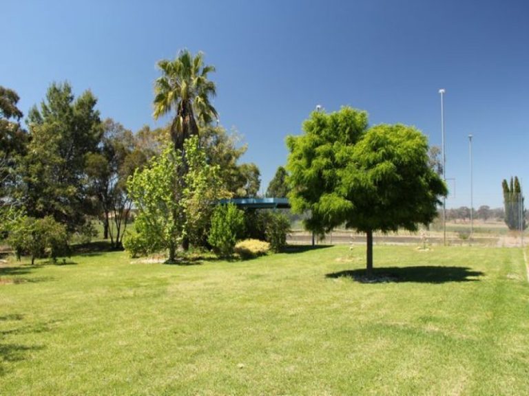250 Taylors Lane, Temora NSW 2666 - photo 6