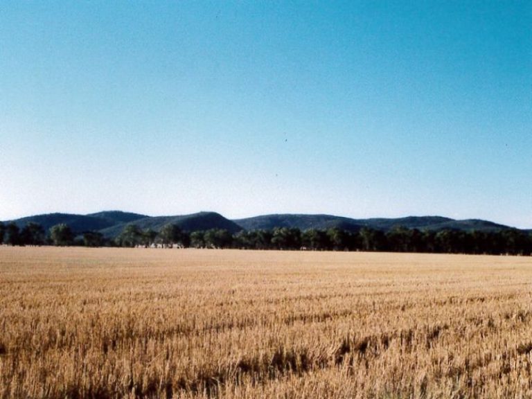 999 Trungley Road, Temora NSW 2666 - photo 5