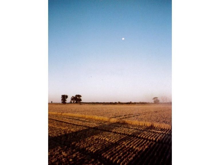 999 Trungley Road, Temora NSW 2666 - photo 7
