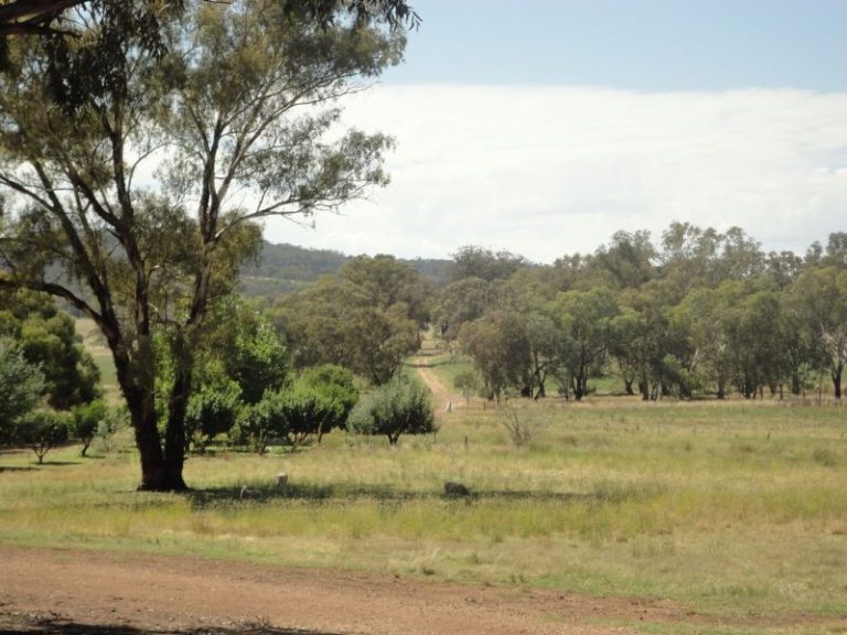 Warooka 318 Smiths Lane*, Stockinbingal NSW 2725 - photo 11