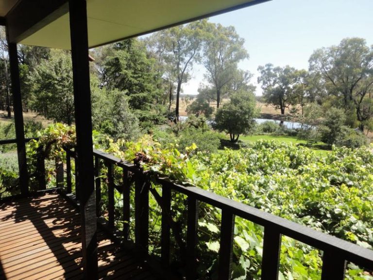 Warooka 318 Smiths Lane*, Stockinbingal NSW 2725 - photo 21