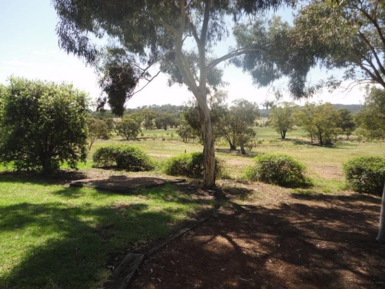 Warooka 318 Smiths Lane*, Stockinbingal NSW 2725 - photo 24