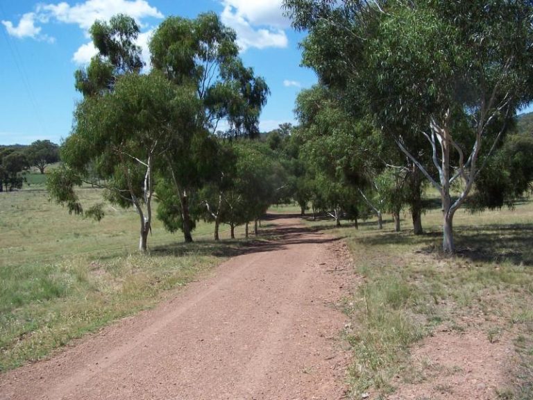 Warooka 318 Smiths Lane*, Stockinbingal NSW 2725 - photo 26