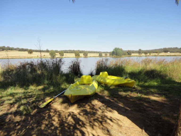Warooka 318 Smiths Lane*, Stockinbingal NSW 2725 - photo 6