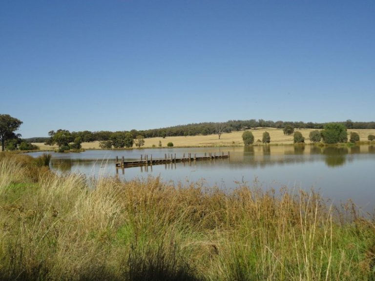 Warooka 318 Smiths Lane*, Stockinbingal NSW 2725 - photo 7