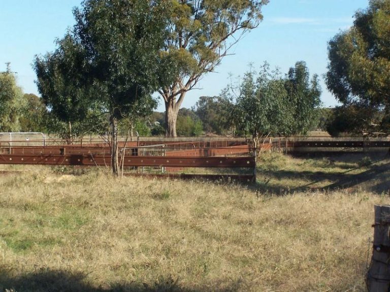 Morangarelll Road, Temora NSW 2666 - photo 2