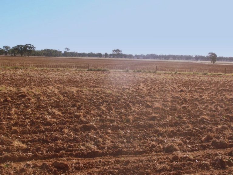 Morangarelll Road, Temora NSW 2666 - photo 4