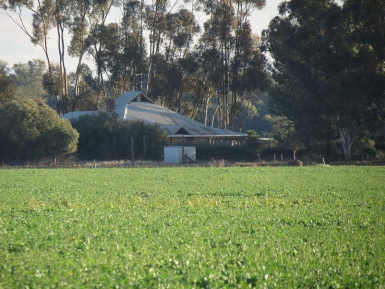 4821 Millvale Road, Milvale NSW 2594 - photo 2