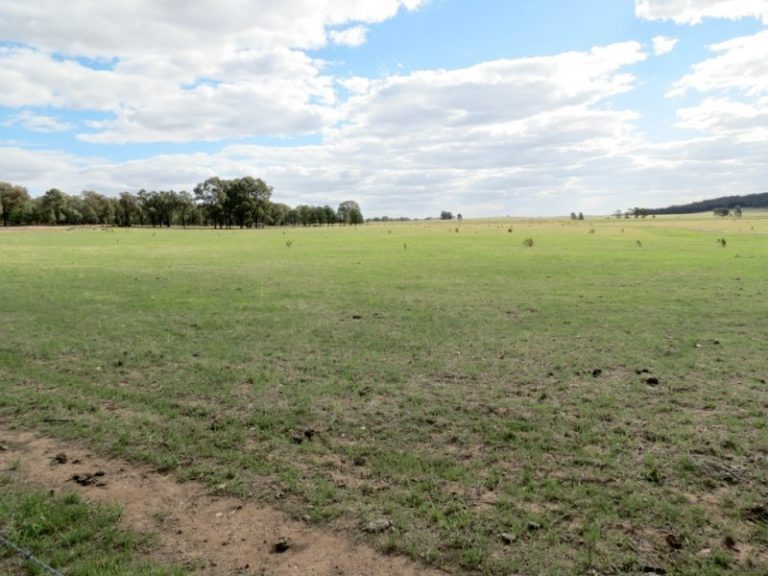 60 Springdam Road, Temora NSW 2666 - photo 2