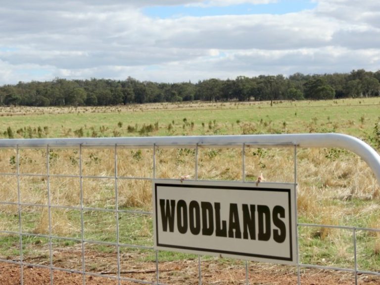 60 Springdam Road, Temora NSW 2666 - photo 13
