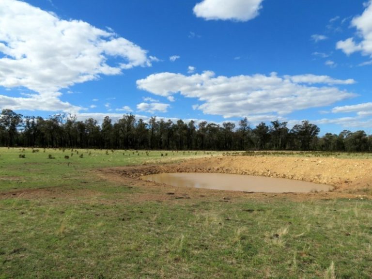 60 Springdam Road, Temora NSW 2666 - photo 4