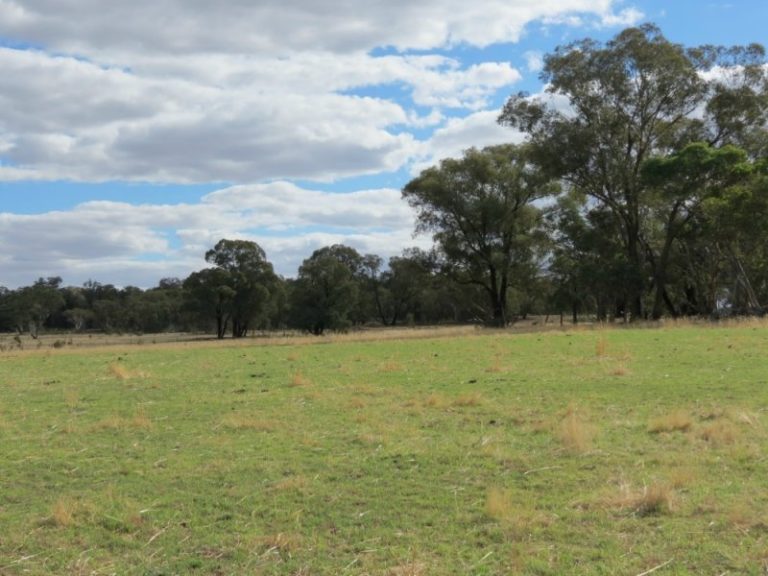 60 Springdam Road, Temora NSW 2666 - photo 6
