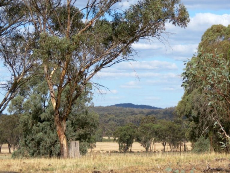 60 Springdam Road, Temora NSW 2666 - photo 7