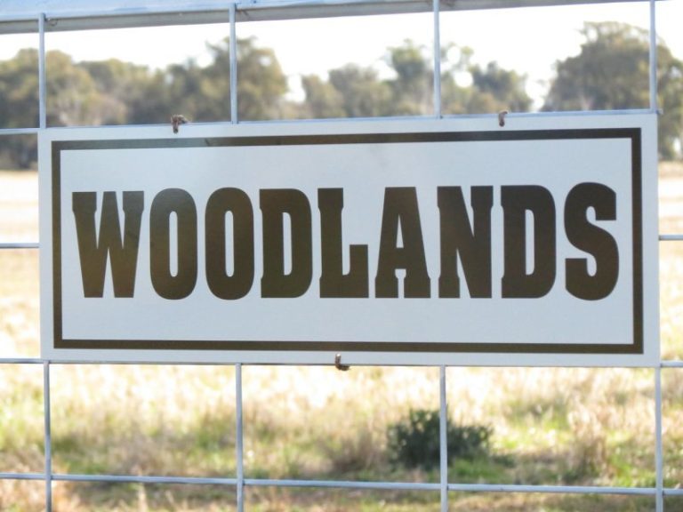 60 Springdam Road, Temora NSW 2666 - McGrath Riverina