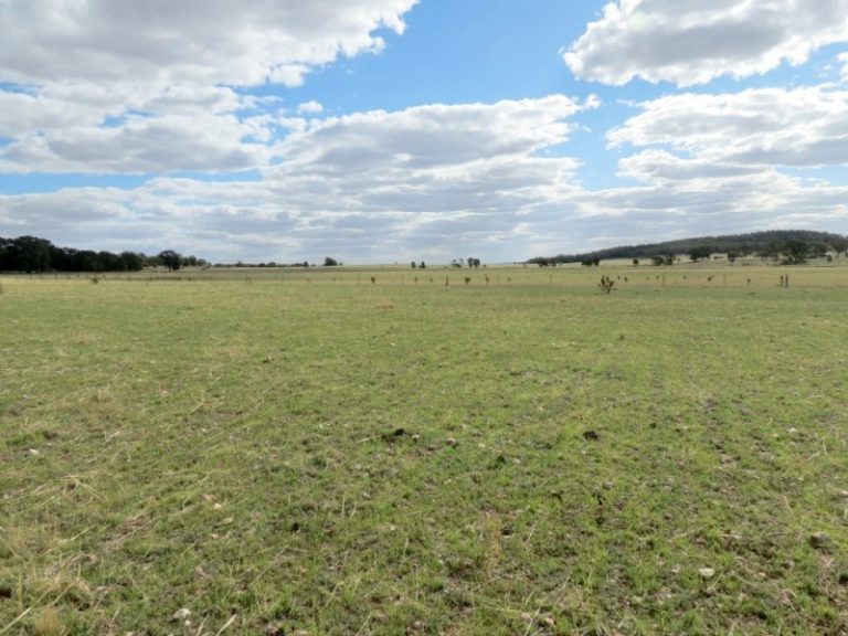 60 Springdam Road, Temora NSW 2666 - photo 9