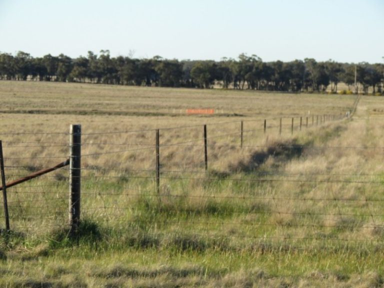 Lot 31, 74 Thanowring Road, Temora NSW 2666 - photo 11